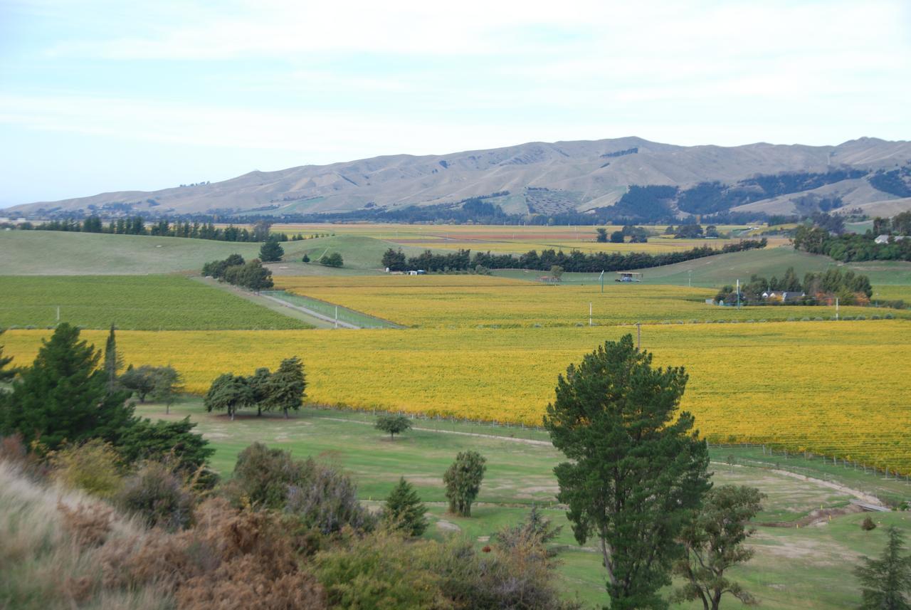 Infinityview B&B Blenheim Luaran gambar