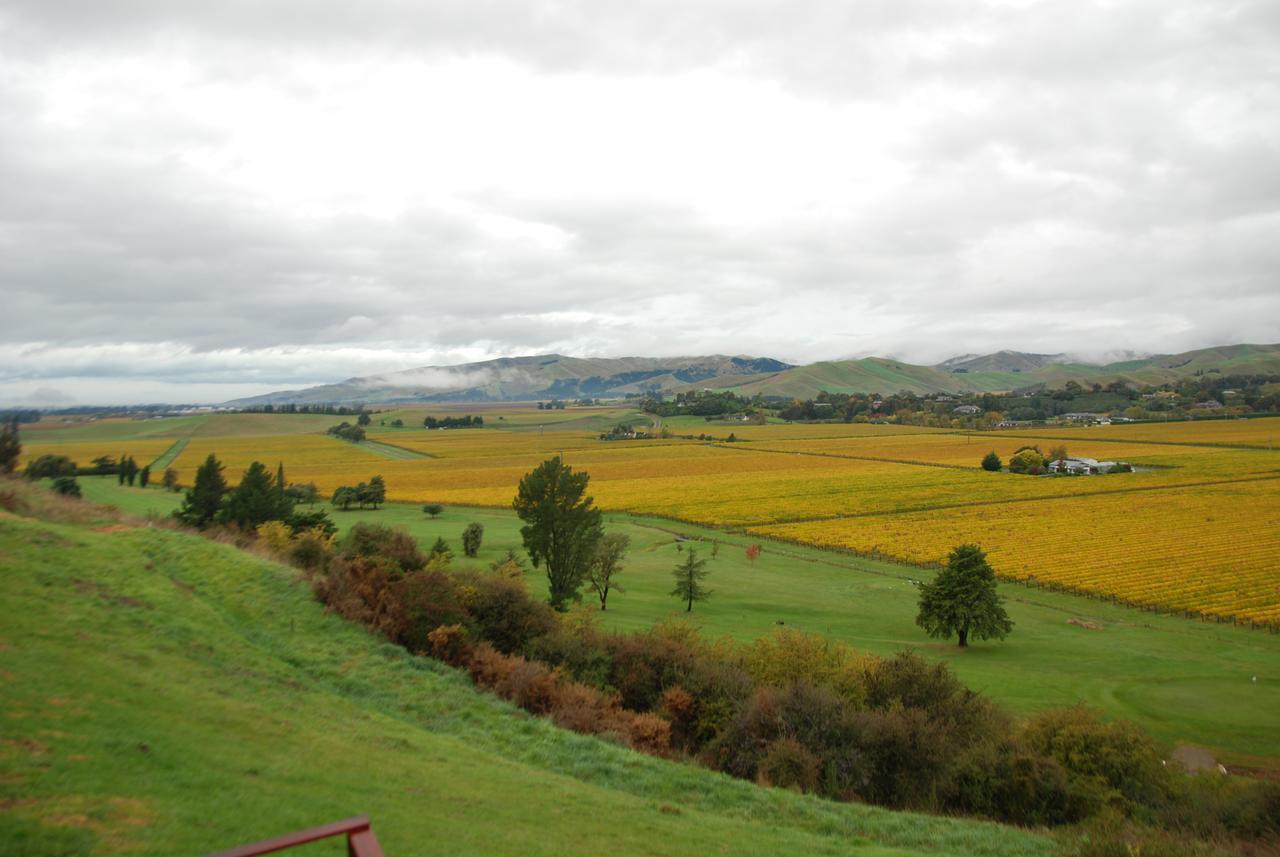 Infinityview B&B Blenheim Luaran gambar