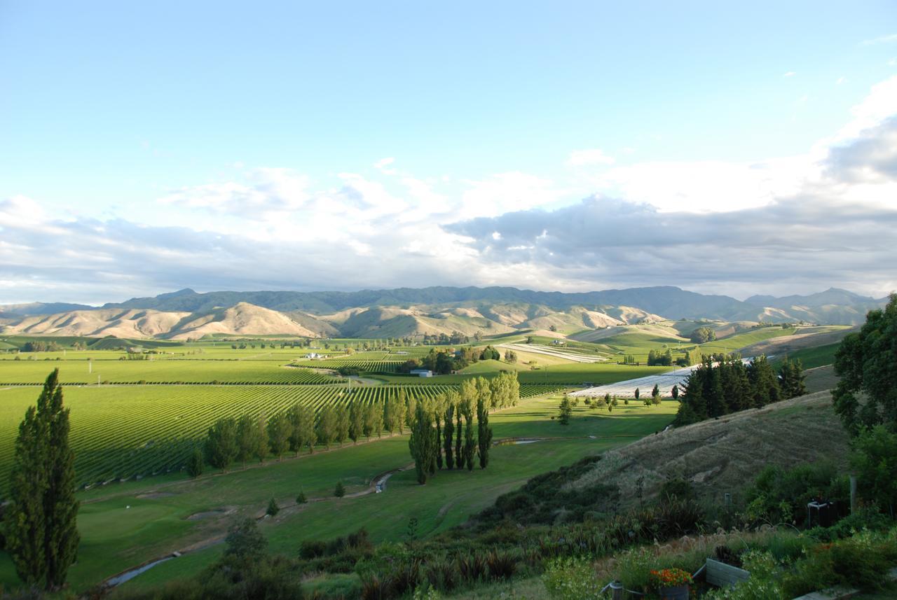 Infinityview B&B Blenheim Luaran gambar